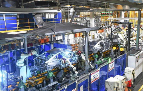 稳字为先——摄影扩印服务的匠心之道