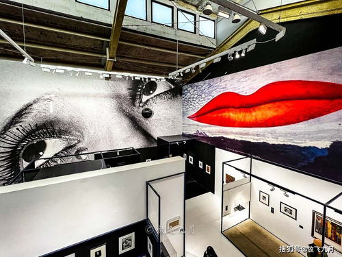 当曼雷遇见798 白昼纽约与午夜巴黎的影像对话